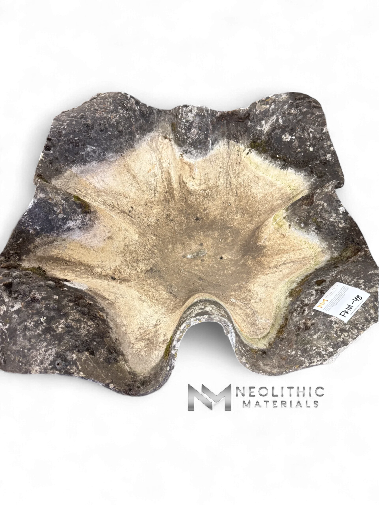 Willy Guhl Elephant Ear Planter - Image 1